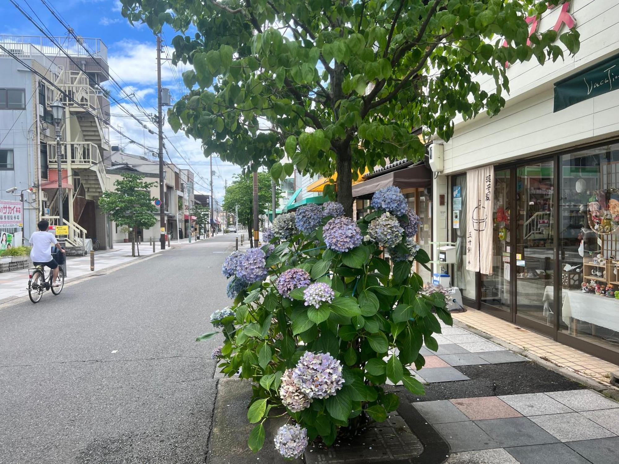 Kyomachiya Daitokuji Villa Kyoto Eksteriør bilde